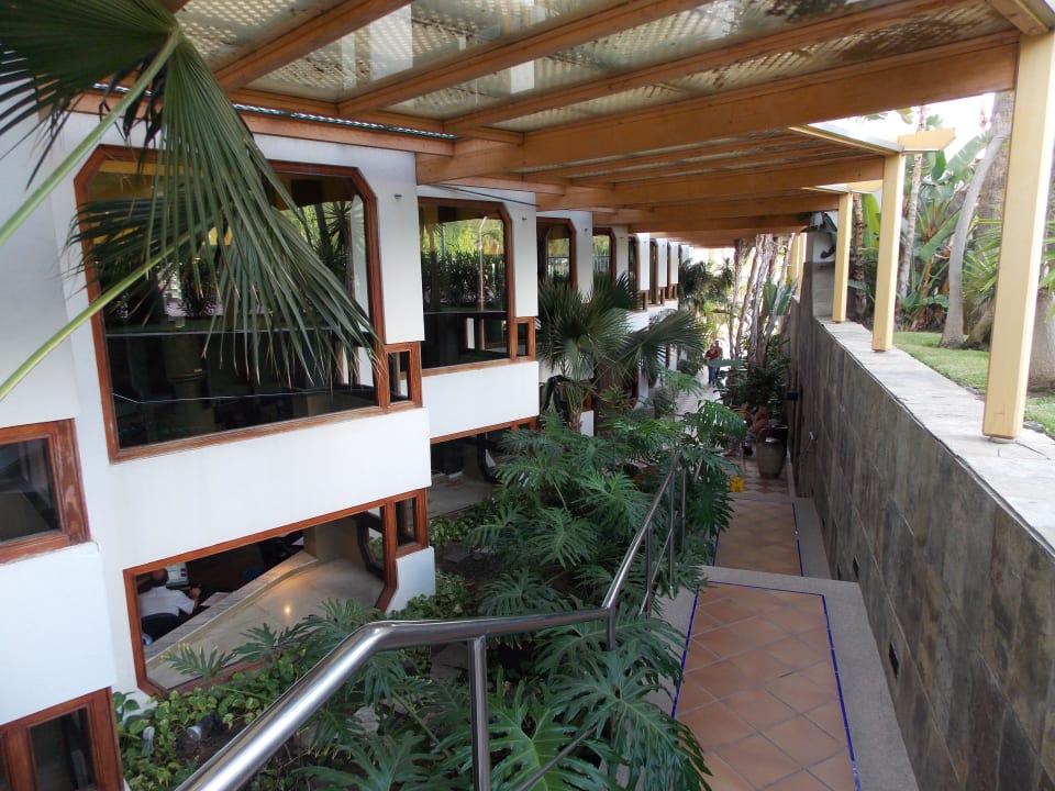 Sehr erholsam Corallium Beach by Lopesan Hotels - Adults only
