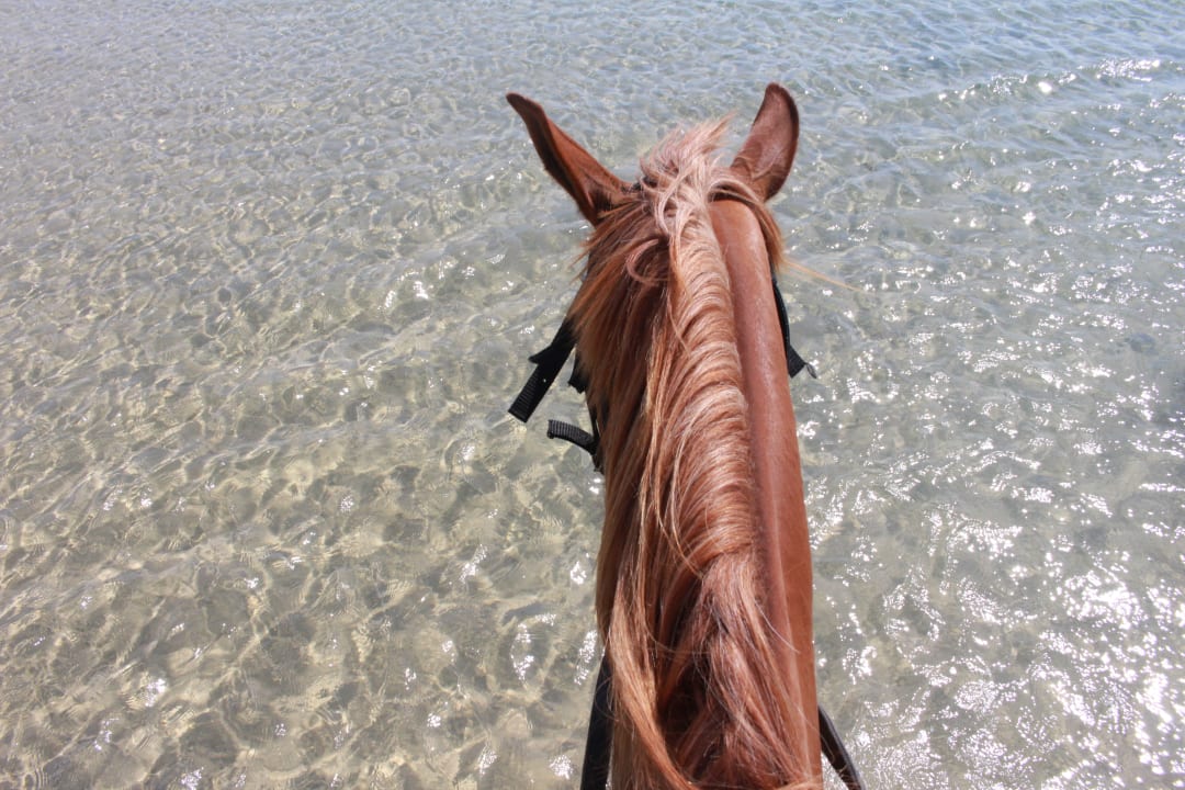 Strand Sentido Caribbean World Soma Bay