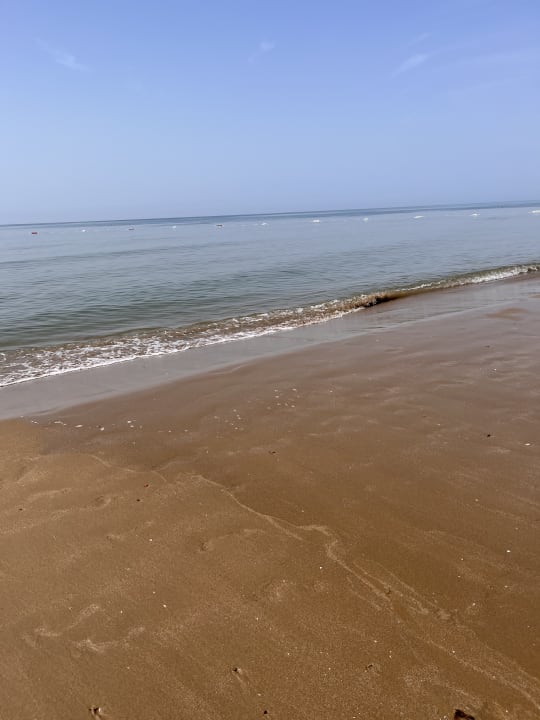 Strand Paloma Oceana