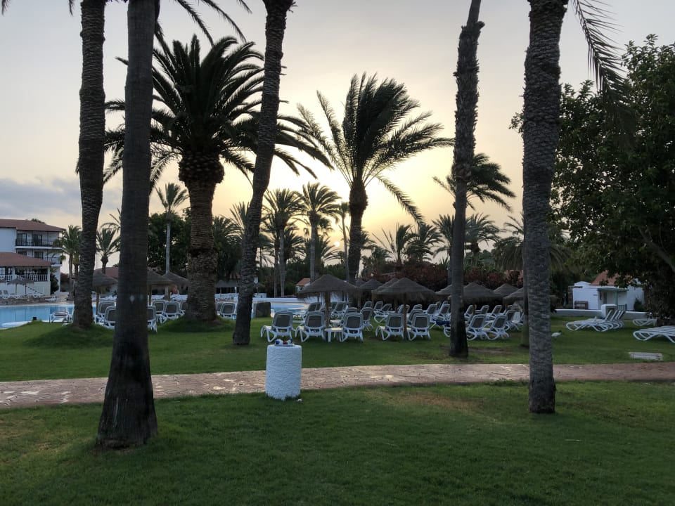 Gartenanlage Aldiana Club Fuerteventura