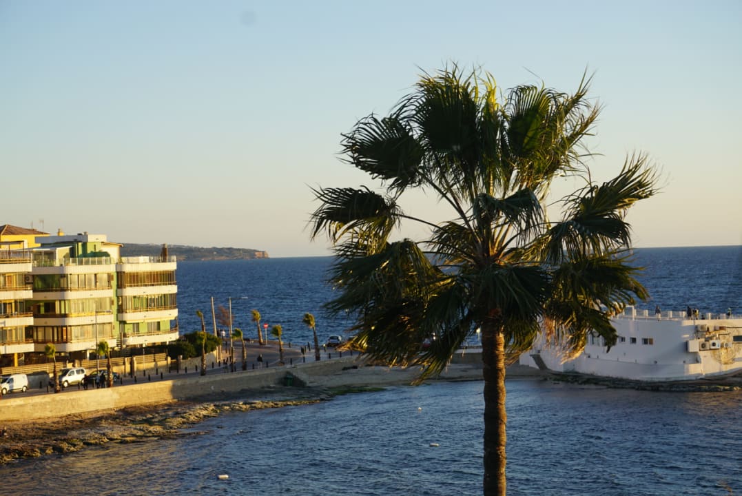 Ausblick AluaSoul Palma
