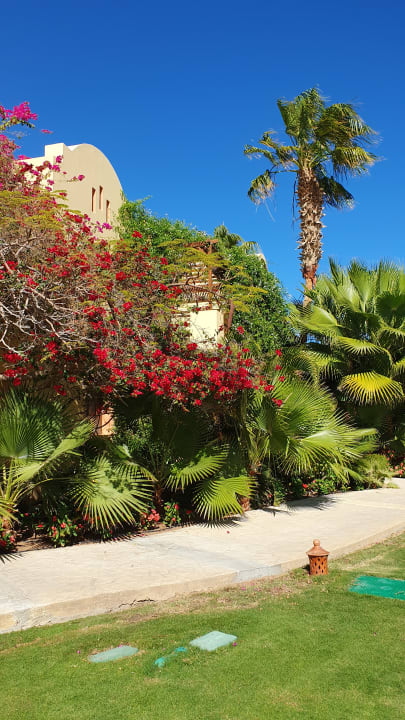 Gartenanlage Steigenberger Coraya Beach - Adults only