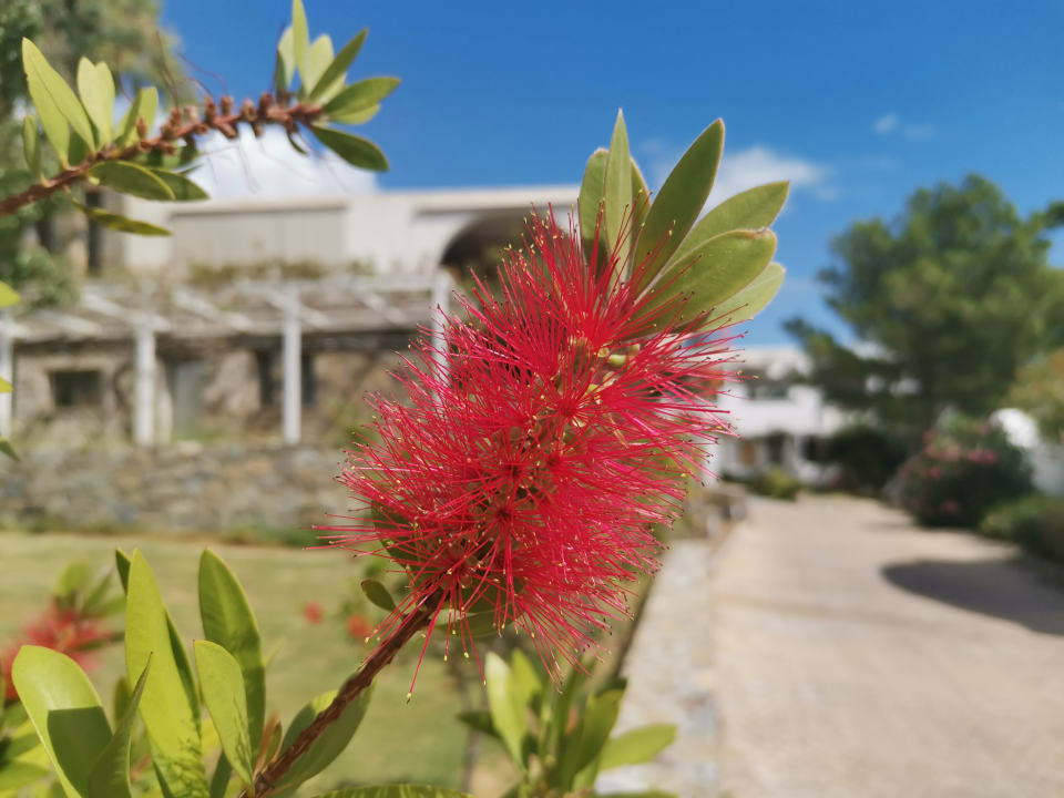 Gartenanlage Hotel Kakkos Bay