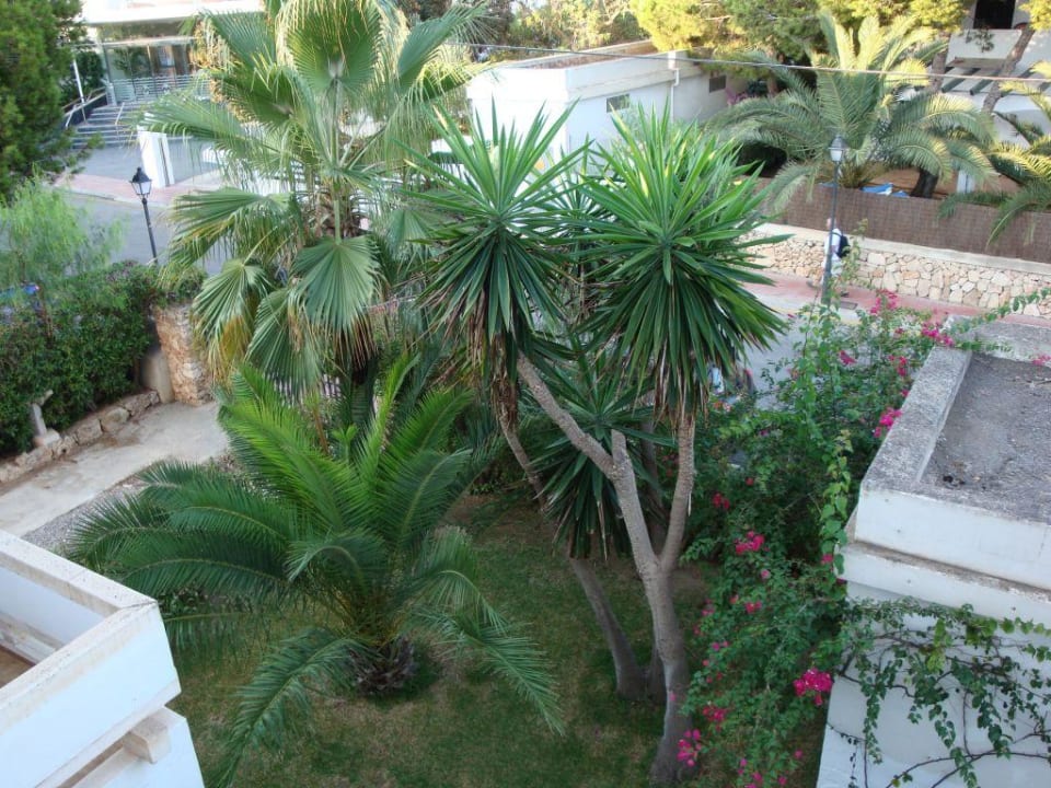 Garten Gavimar La Mirada Club Resort