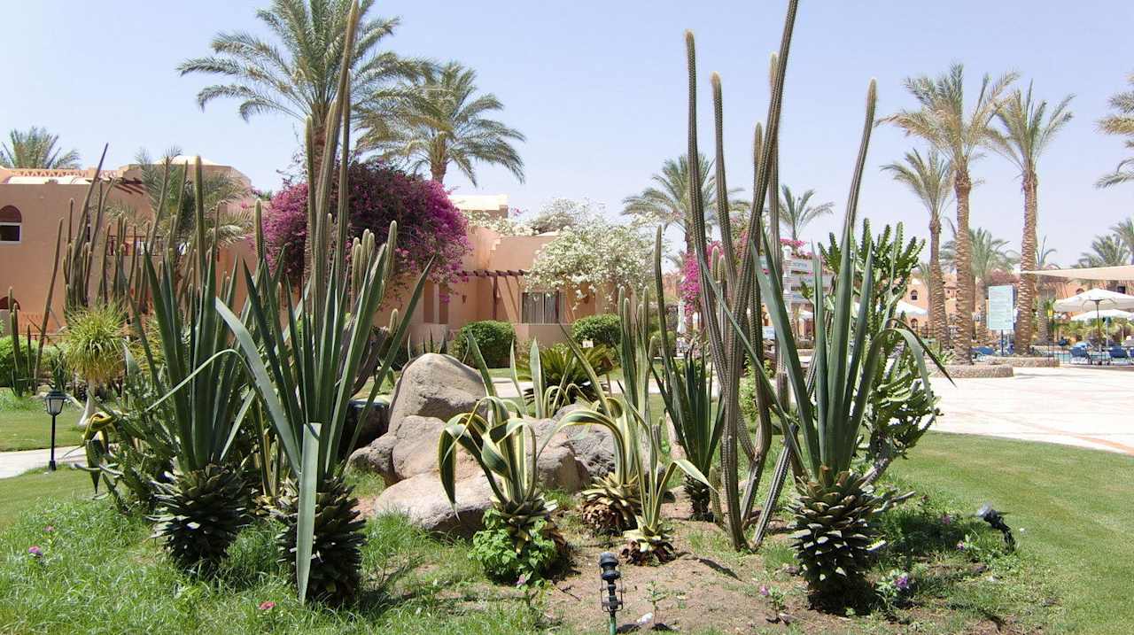 Gartenanlage / Unterbringung Iberotel Makadi Beach