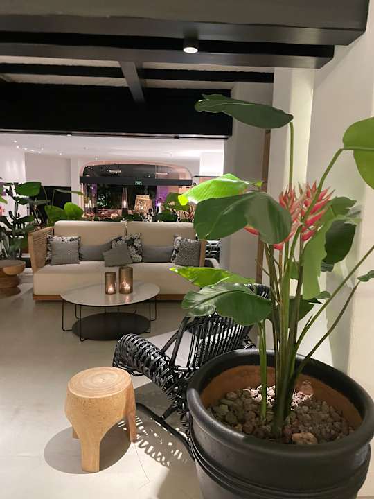 Lobby Dreams Jardín Tropical