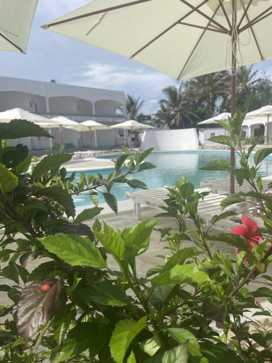 Pool AHG Lion Beach Resort