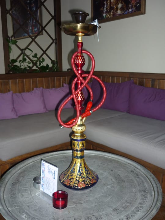 Shisha Lounge Paloma Oceana