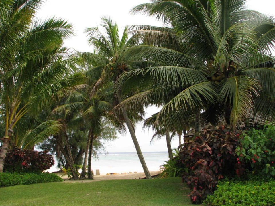 Auf dem Weg zum Strand Palm Grove Resort