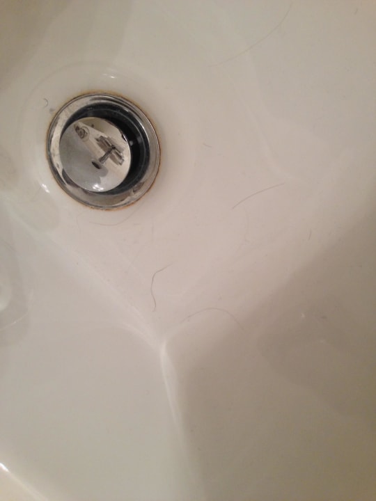 Haare im Bidet Pisa Tower Plaza