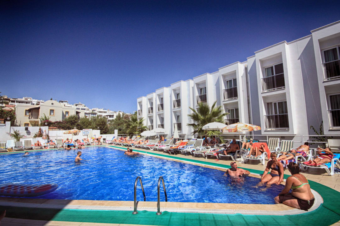 Swimming Club Hotel Shark