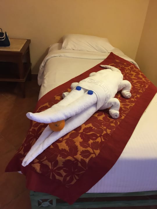 Zimmer Charmillion Club Aqua Park