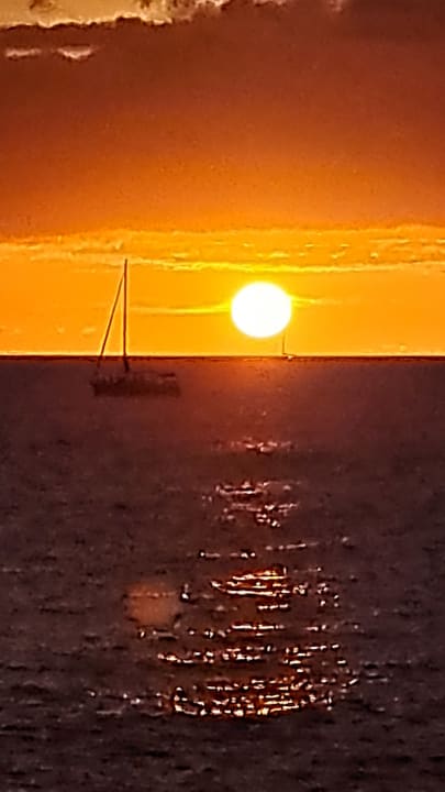 Ausblick HOVIMA Jardin Caleta