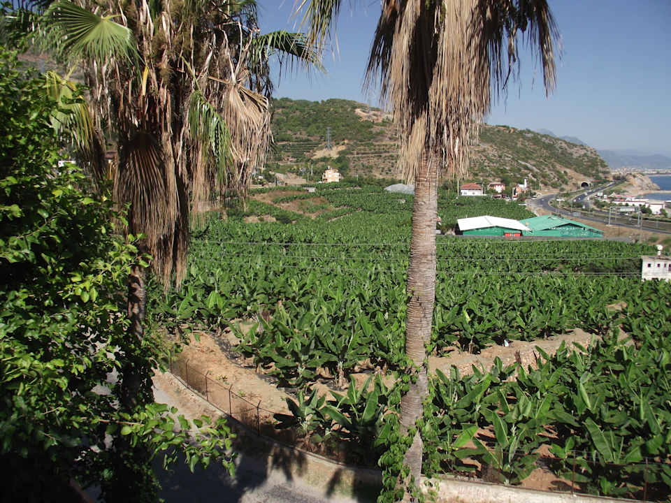 Von der Terrasse aus  La Finca Marina