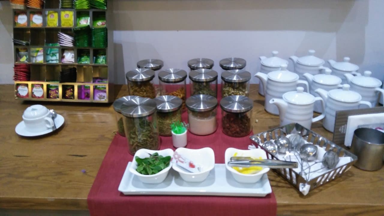 Gastro Acanthus Cennet Barut Collection