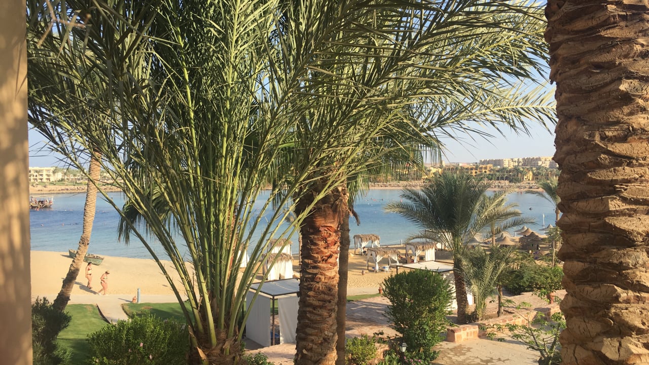 Gartenanlage Steigenberger Coraya Beach - Adults only