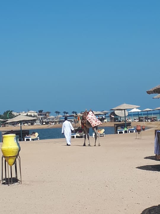 Strand Mövenpick Resort & Spa El Gouna