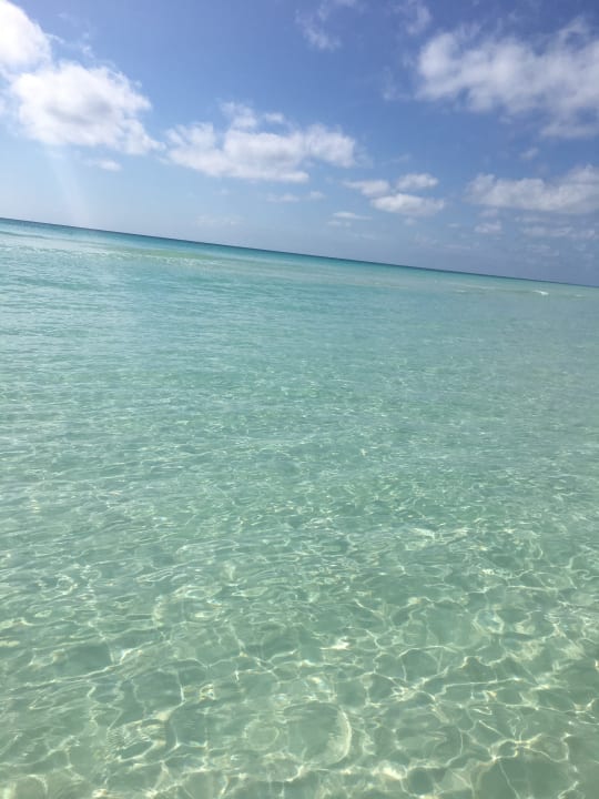 Gold Rock Beach Viva Fortuna Beach by Wyndham - All Inclusive Resort