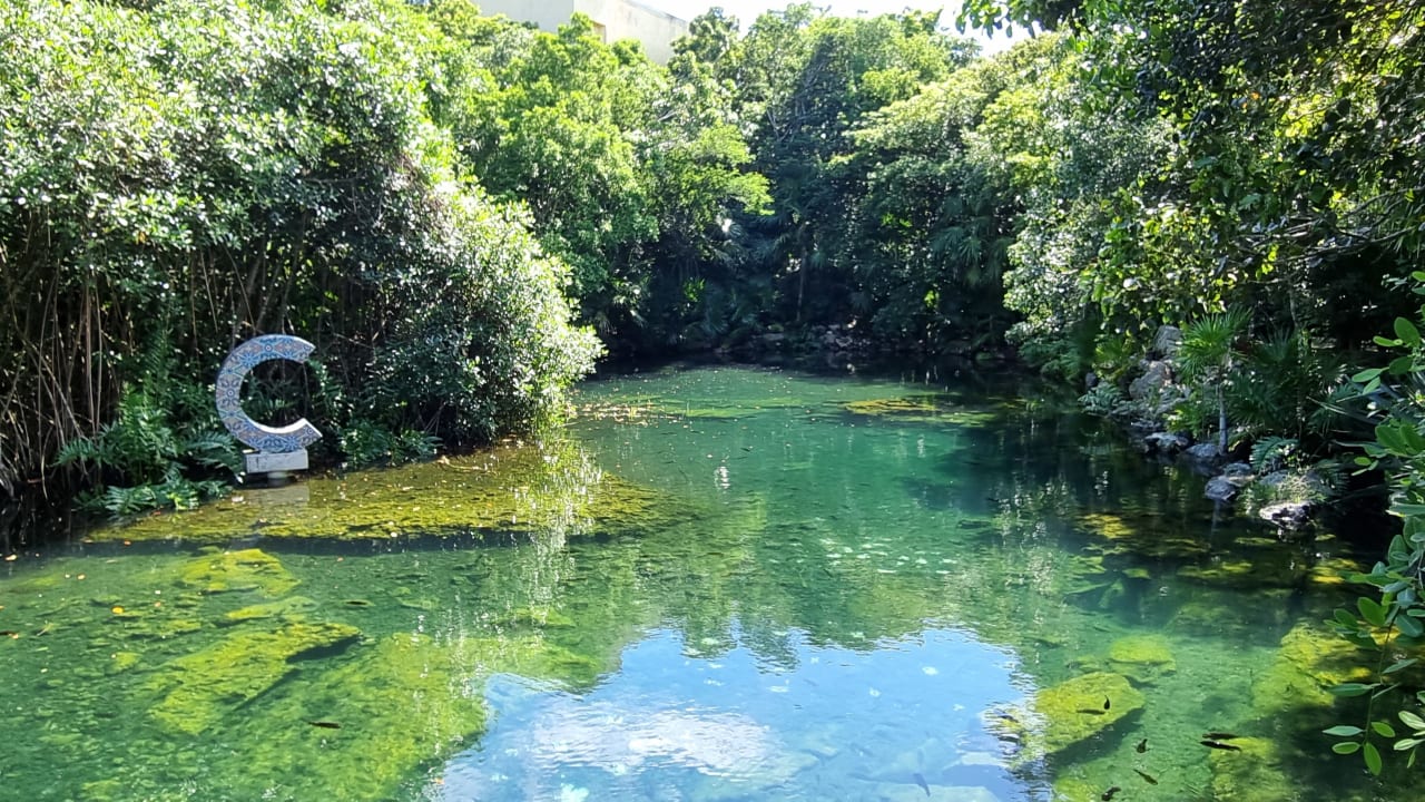 Gartenanlage Catalonia Royal Tulum Beach & Spa Resort - Adults only