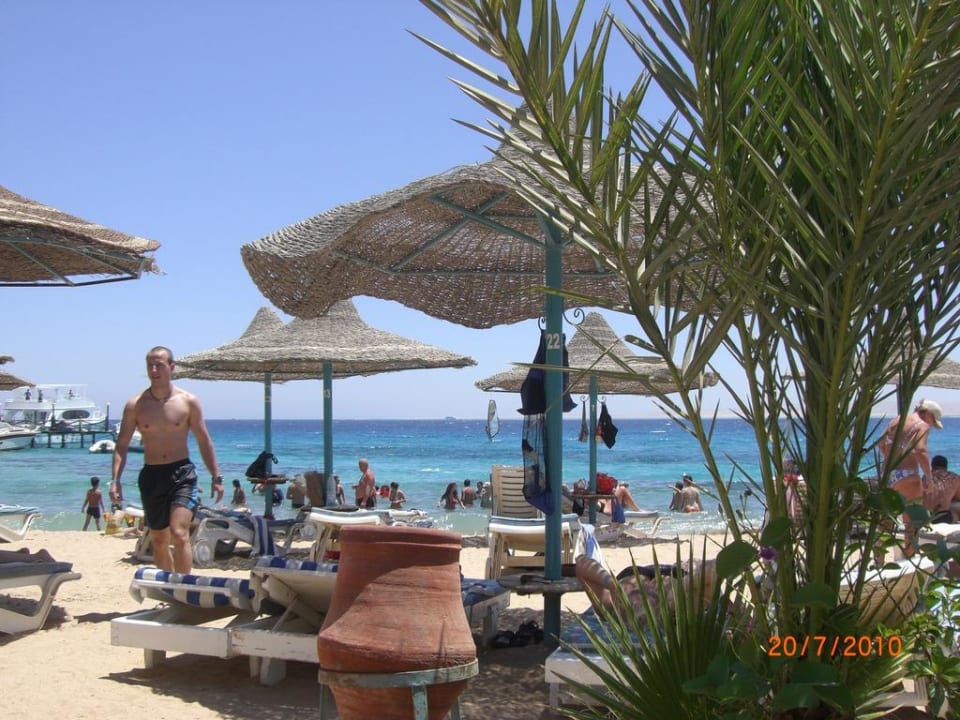 Hoteleigener Strand Bella Vista Resort Hurghada