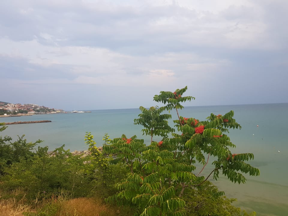 Ausblick Hotel Sineva Beach