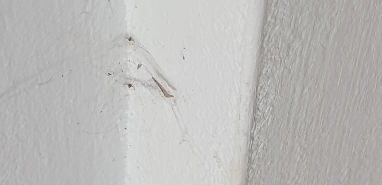 Zimmer Melia Las Dunas