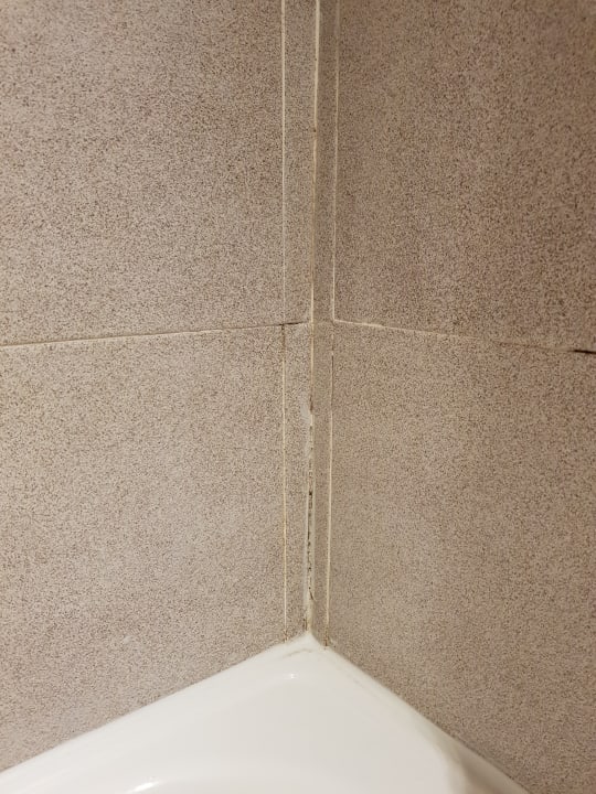 Zimmer Melia La Palma Hotel