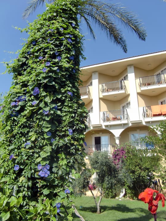 Teil des Hotels von außen Belek Beach Resort Hotel