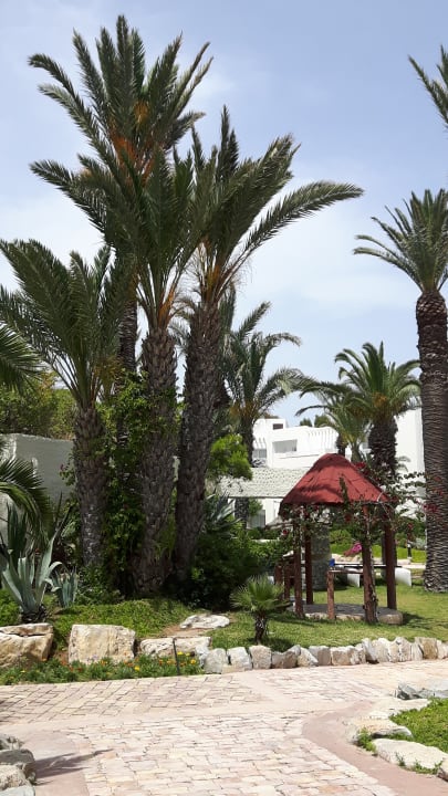 Gartenanlage TUI MAGIC LIFE Africana