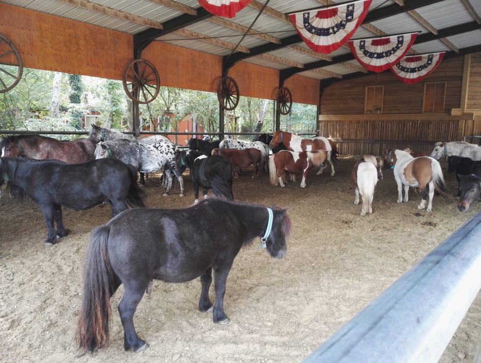 Sonstiges PonyparkCity