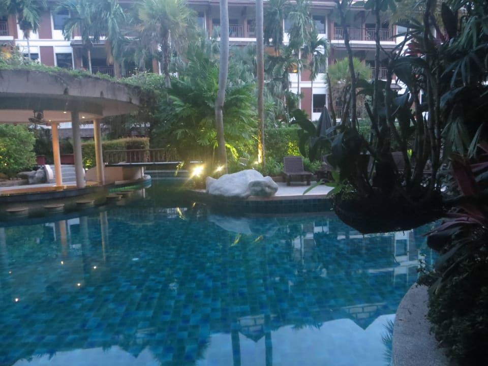 Pollblick im Regen Kata Palm Resort & Spa