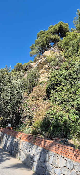 Gartenanlage Hotel Pine Bay Holiday Resort