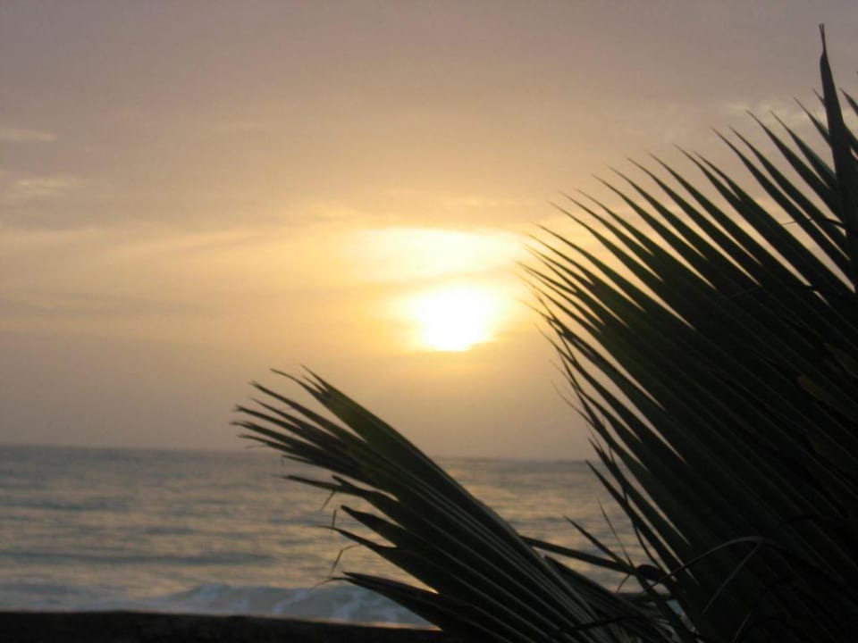 Sonnenaufgang Neptune Palm Beach Boutique Resort & Spa