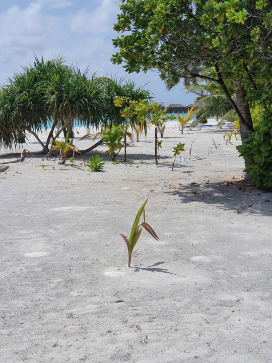Ausblick Meeru Maldives Resort Island