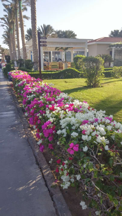 Gartenanlage Coral Sea Holiday Village