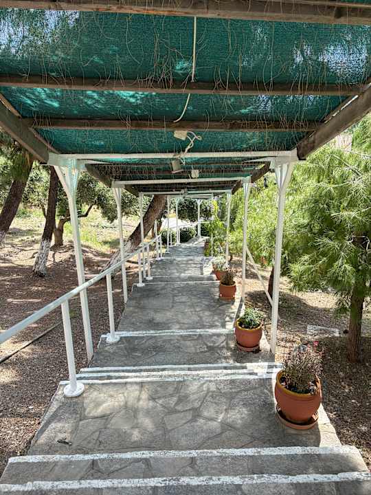 Gartenanlage Hotel Glicorisa Beach
