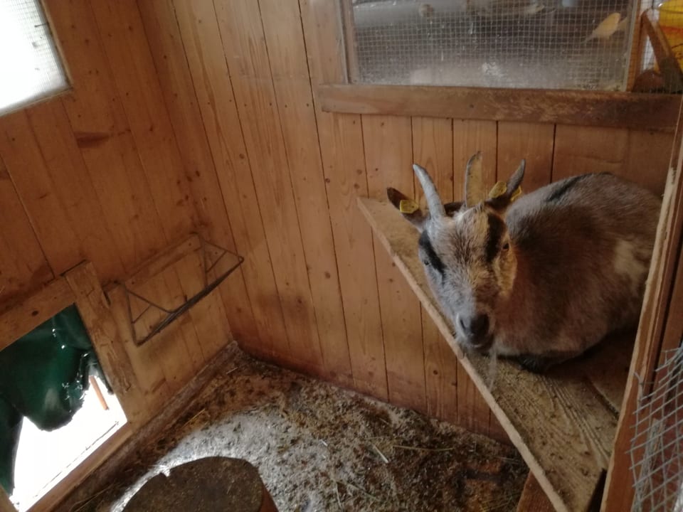 Sonstiges Ferienwohnungen Bertlhof