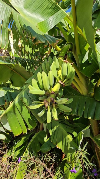 Strand Bodrum Park Resort