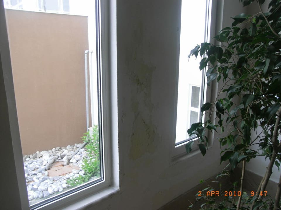 Direkt am Eingang vom Pool Seaden Sea World Resort & Spa