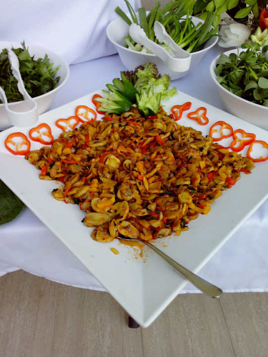 Buffet zum Türkischen Abend Life Elite Hotel