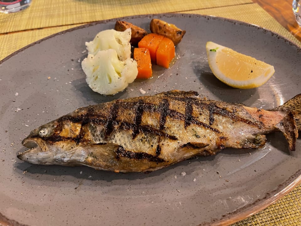 Gastro Acanthus Cennet Barut Collection