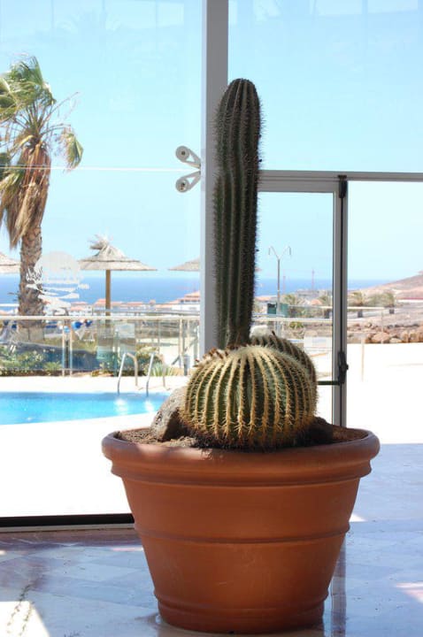 Schöne Pflanzkübel im Eingangsbereich AluaVillage Fuerteventura