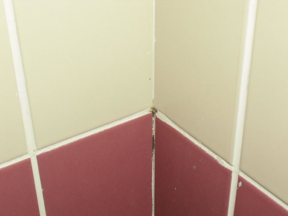 Schimmel im Bad Doreta Beach Resort & Spa