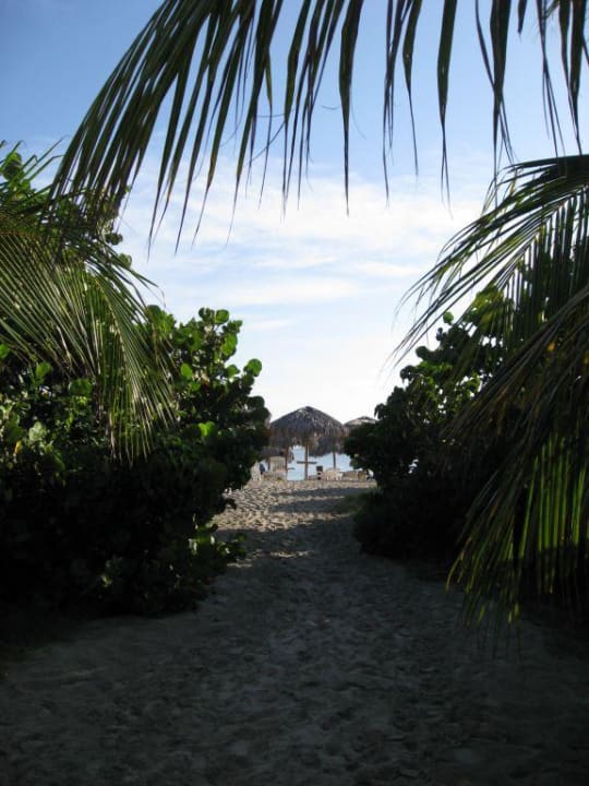 Der Weg zum Strand Iberostar Origin Playa Alameda