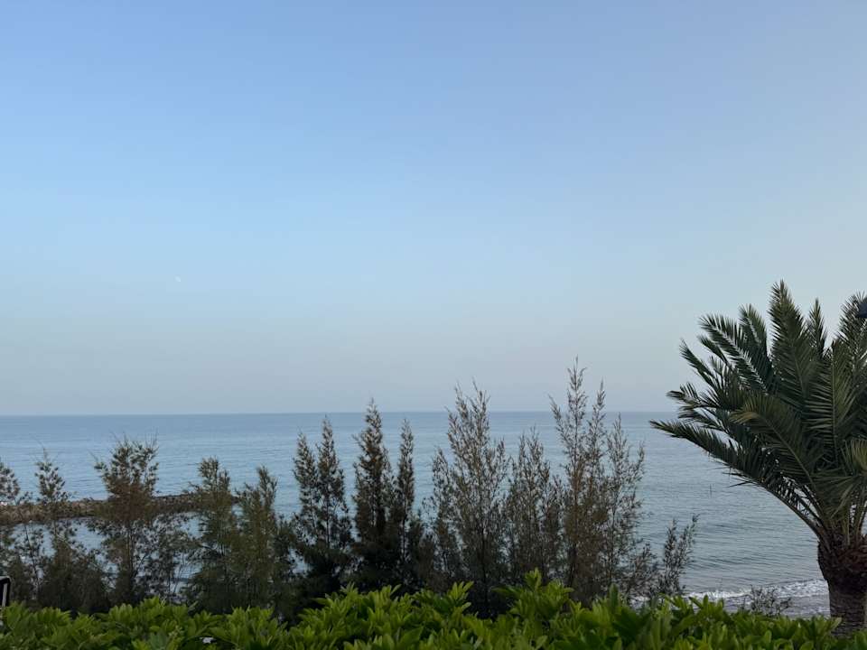 Ausblick Hotel Parque Tropical
