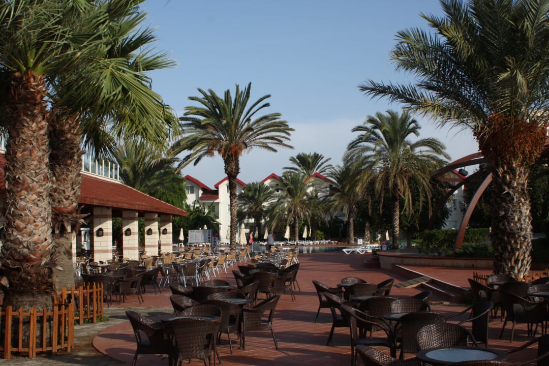 Umgeben von Palmen Salamis Bay Conti Resort Hotel & Casino