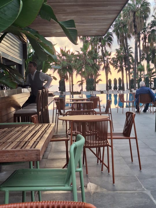 Gastro Acanthus Cennet Barut Collection