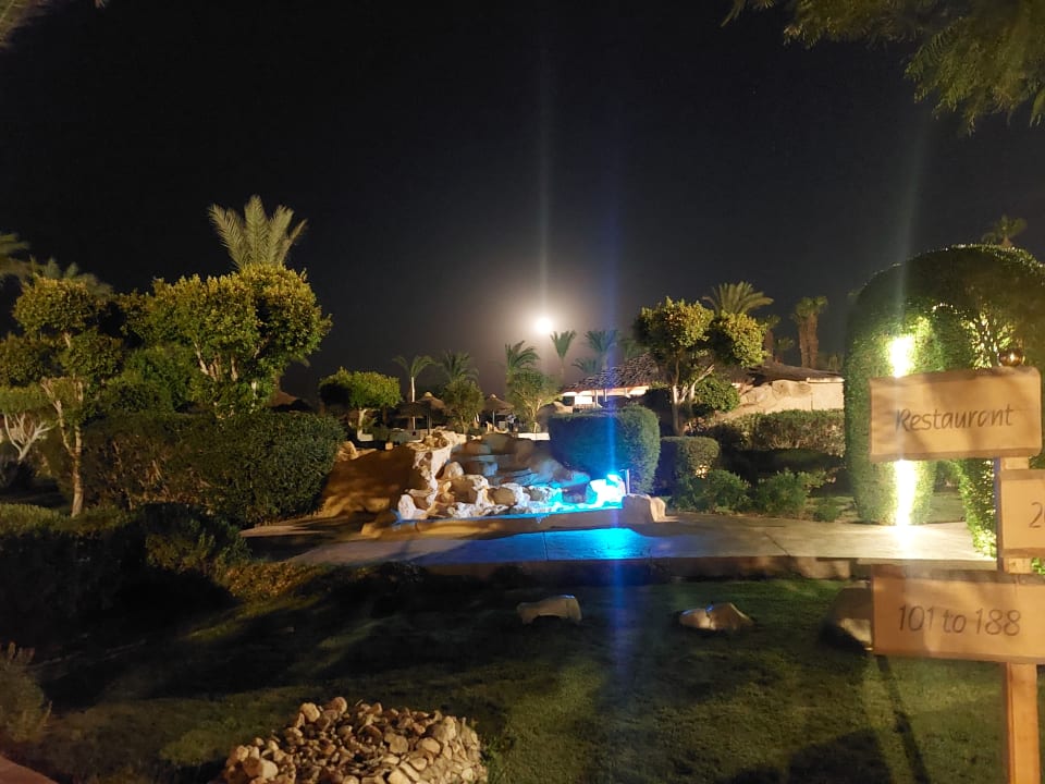 Pool Lotus Bay Beach Resort
