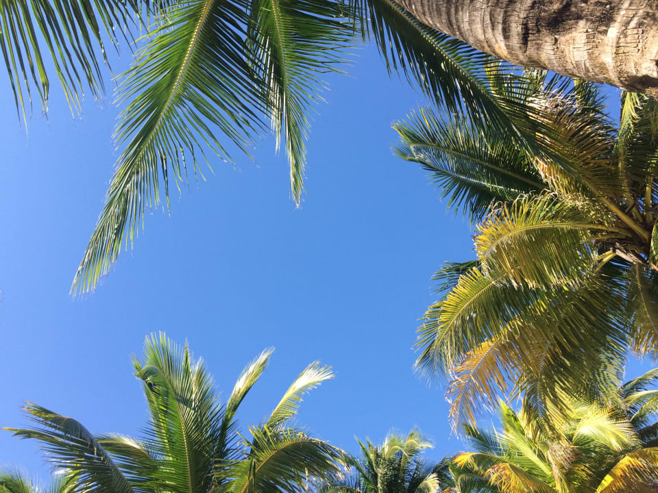 Strand Catalonia Royal Tulum Beach & Spa Resort - Adults only