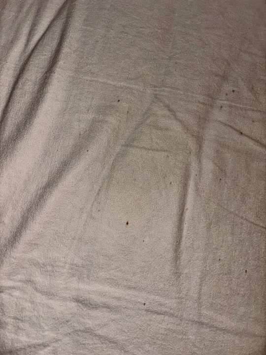 Zimmer ROBINSON JANDIA PLAYA